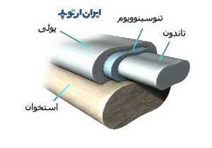 آناتومی دست. آناتومی تاندون انگشت دست