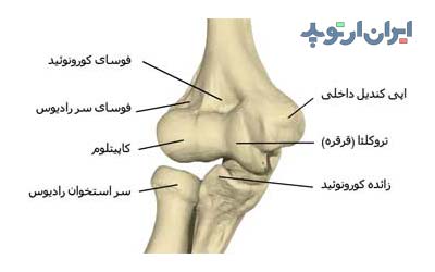 آناتومی ساعد. استخوان آرنج