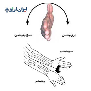 آناتومی مچ دست. حرکات مچ دست