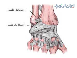 آناتومی مچ دست. رباط ها