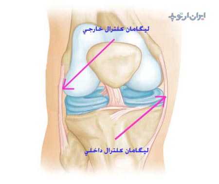 رباط جانبی زانو داخلی و خارجی