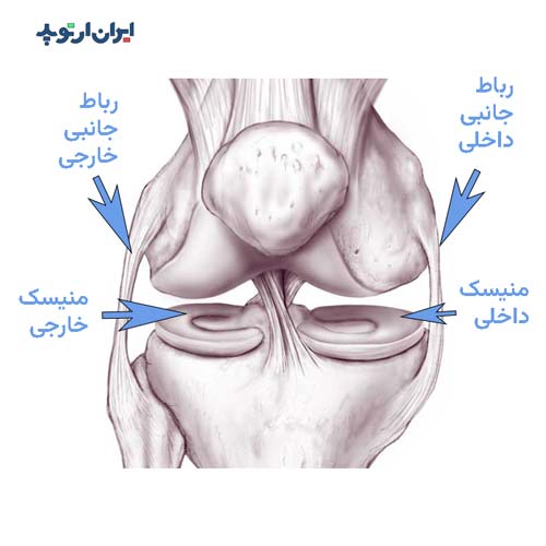 منیسک زانو و رباط های آن