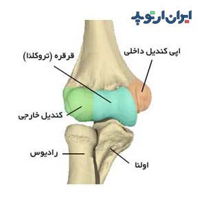 کندیل خارجی آرنج